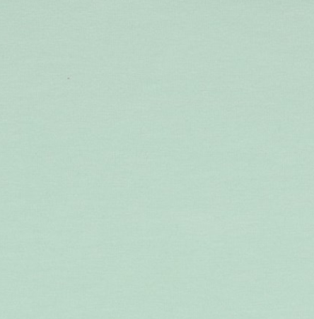 Image de Menthe - Jersey Uni