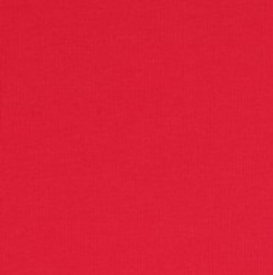 Image de Fraise - Jersey Uni