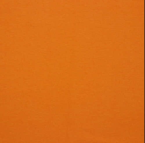 Image de Feuille d'automne - French Terry Uni GOTS