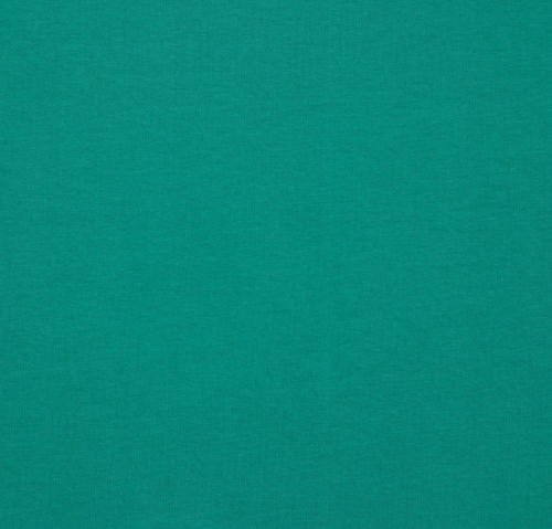 Image de Vert Bor&eacute;al - French Terry Uni GOTS