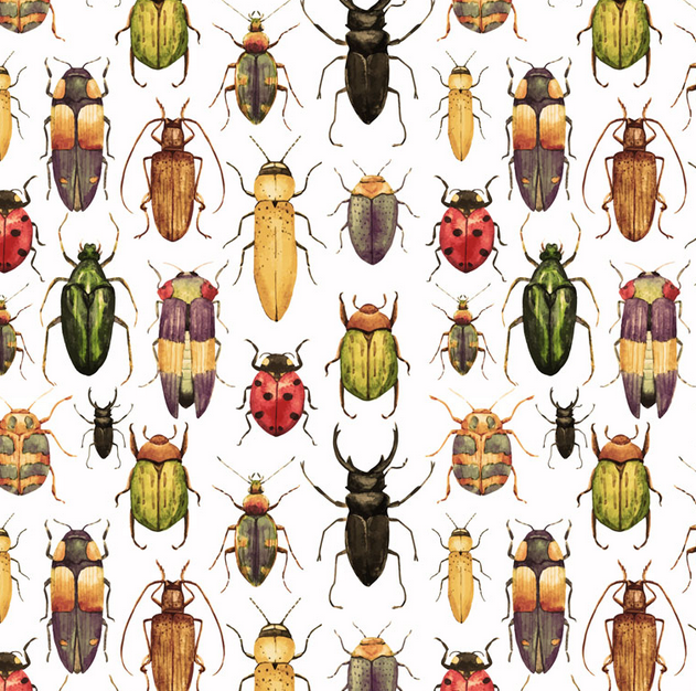 Image de Bel insecte Jersey 1/2 m