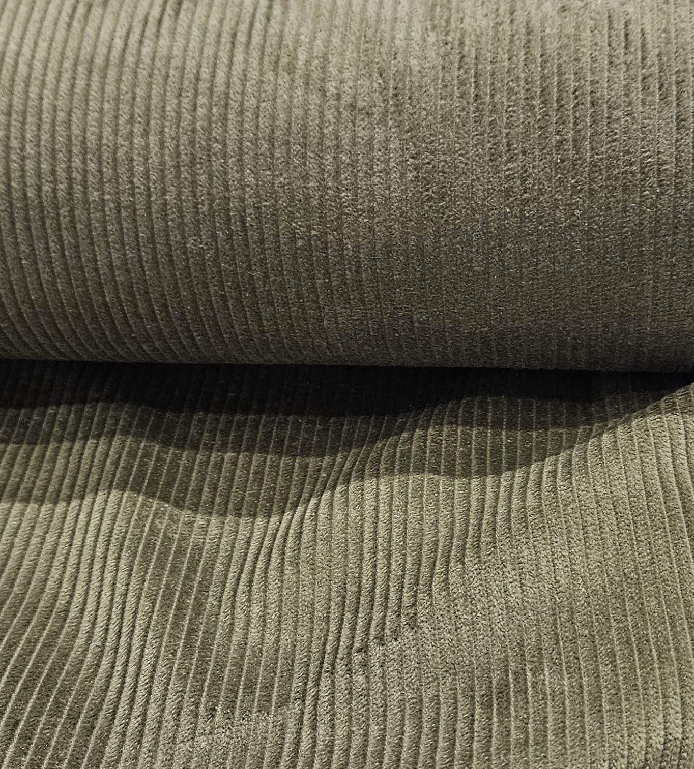 Image de Corduroy europ&eacute;en - &Eacute;pinard 1/2 m