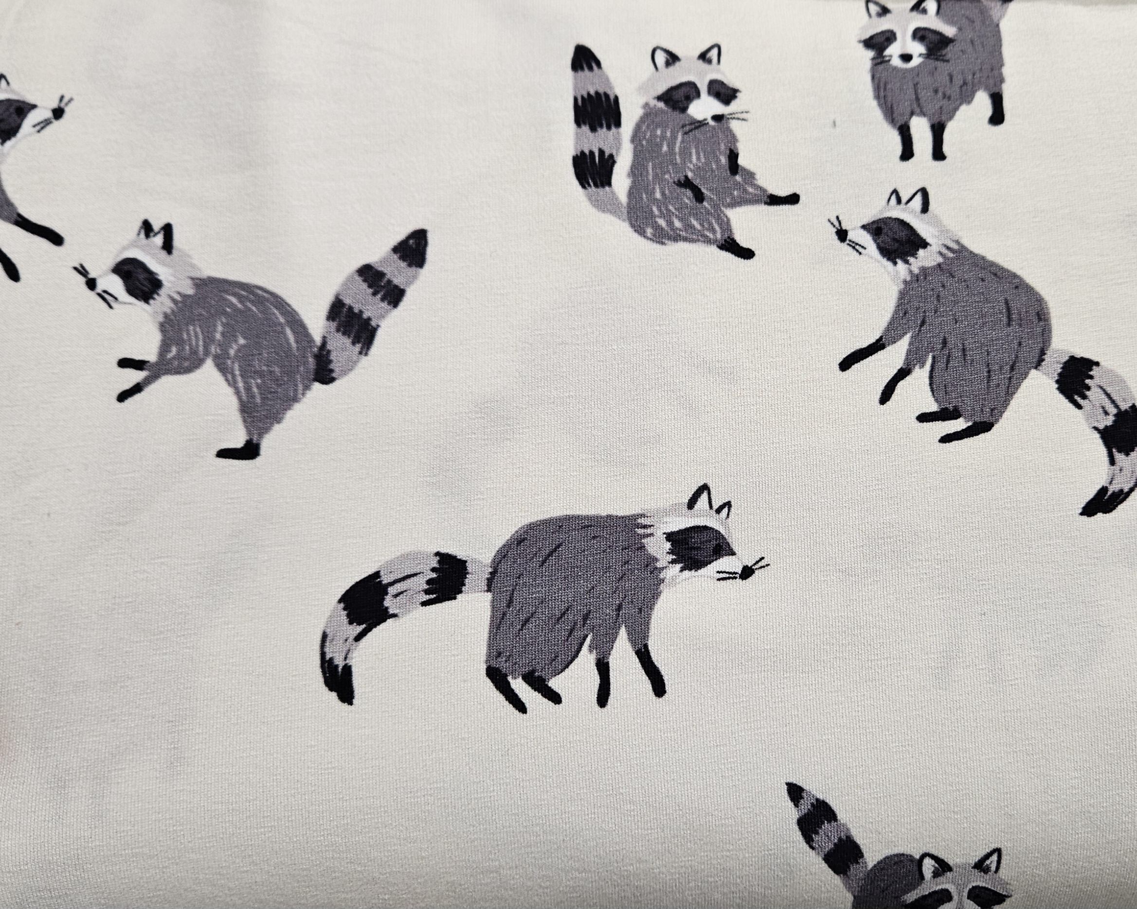 Image de Jersey - Raton-laveur 1/2 m