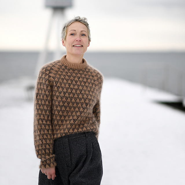 Image de Atelier Projet : Pull Spot Regular de Anne Ventzel