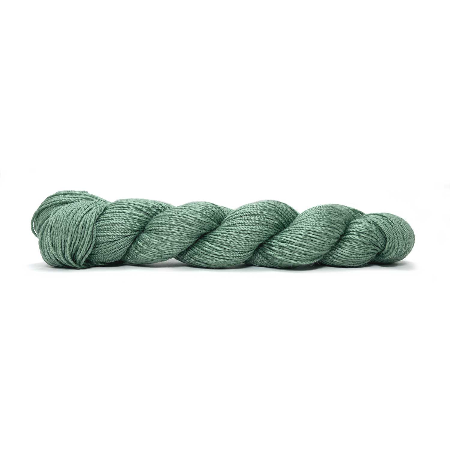 Image de Pascuali Pinta - Merino, Silk, Ramie