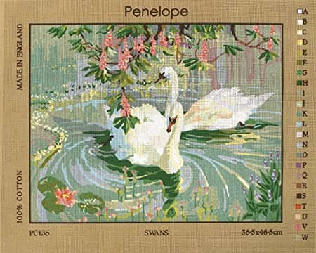 Image de Penelope Canevas : Swans